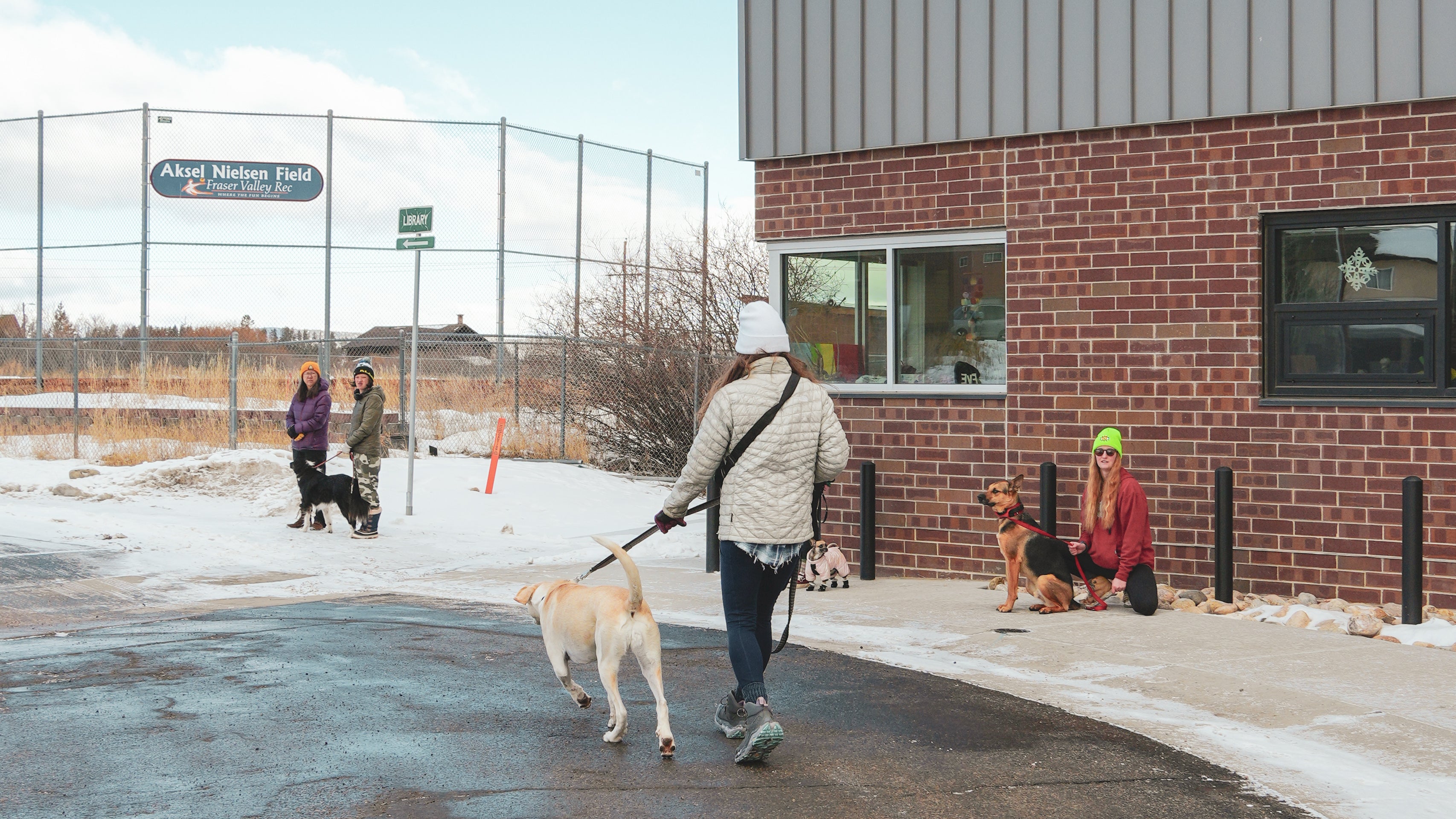 Pack Walks by VADA