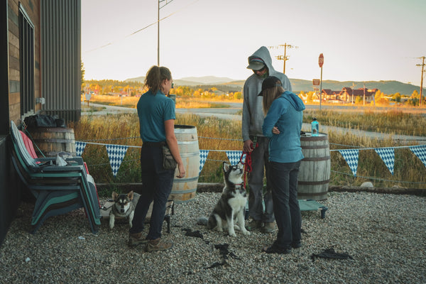 Training Dogs & Enjoying Brews: Our 5-Week Program at Vicious Cycle Brewery