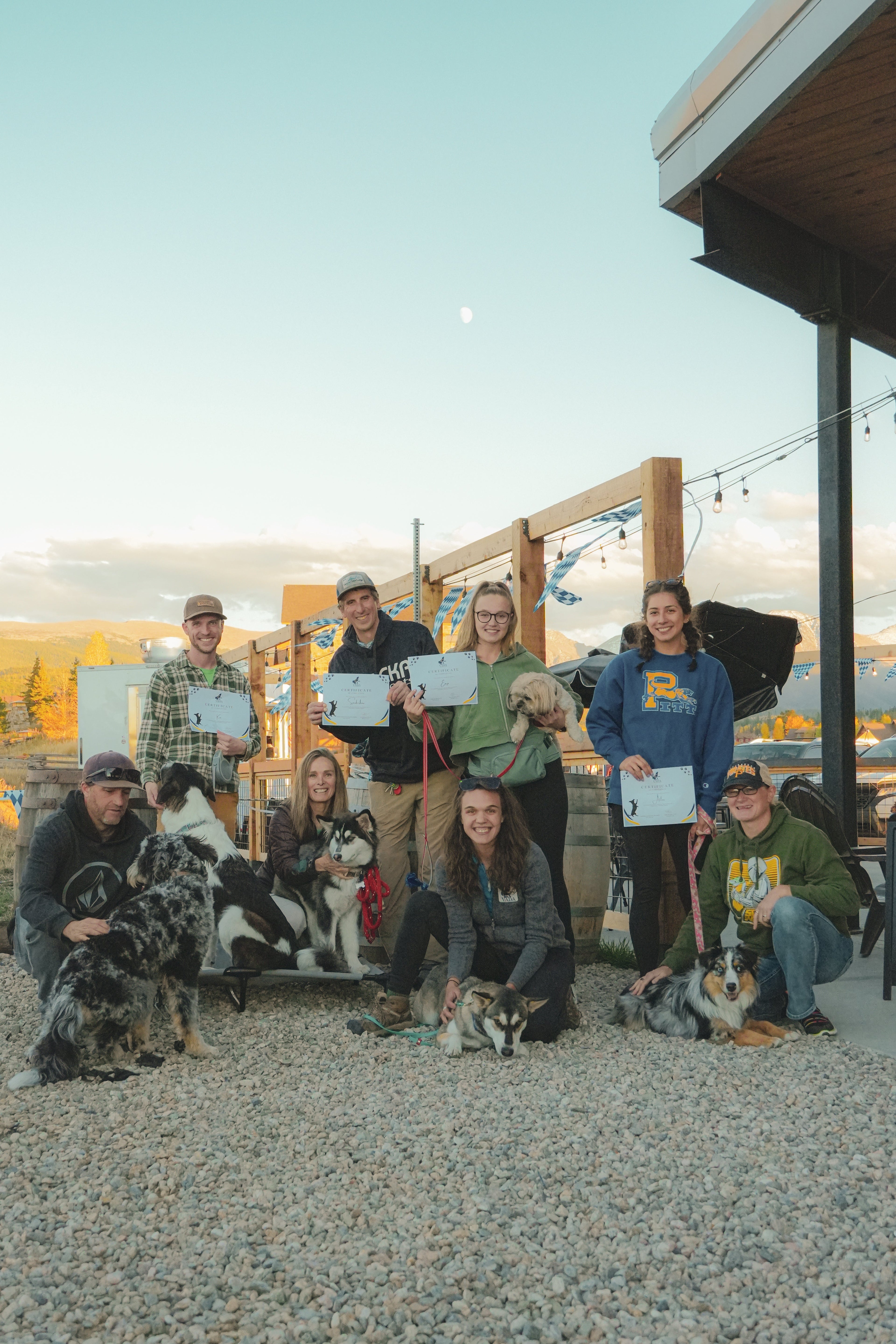 dog training classes