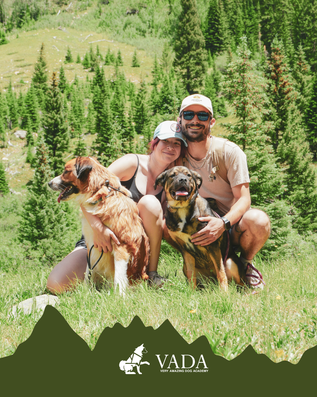 Colorado Dog Hiking Adventure: A Hands-On Training Hike