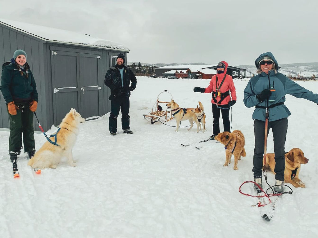 Mushing/ Dog Powered Sports