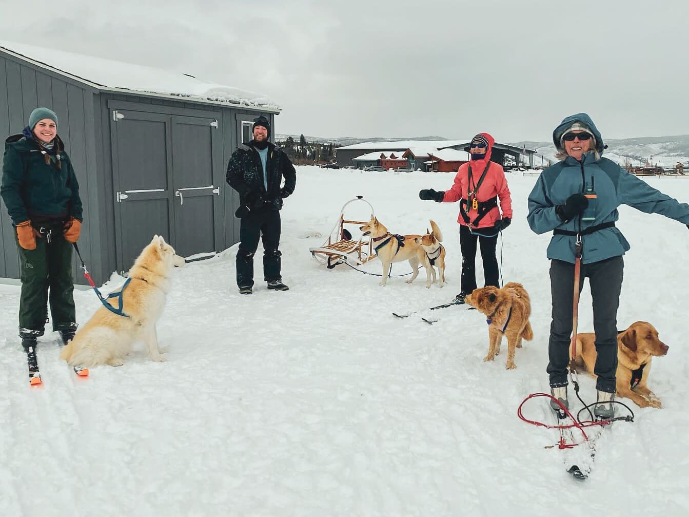 Mushing/ Dog Powered Sports