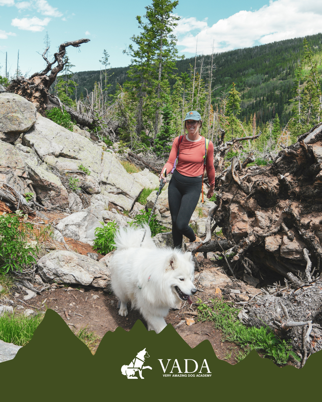 Colorado Dog Hiking Adventure: A Hands-On Training Hike