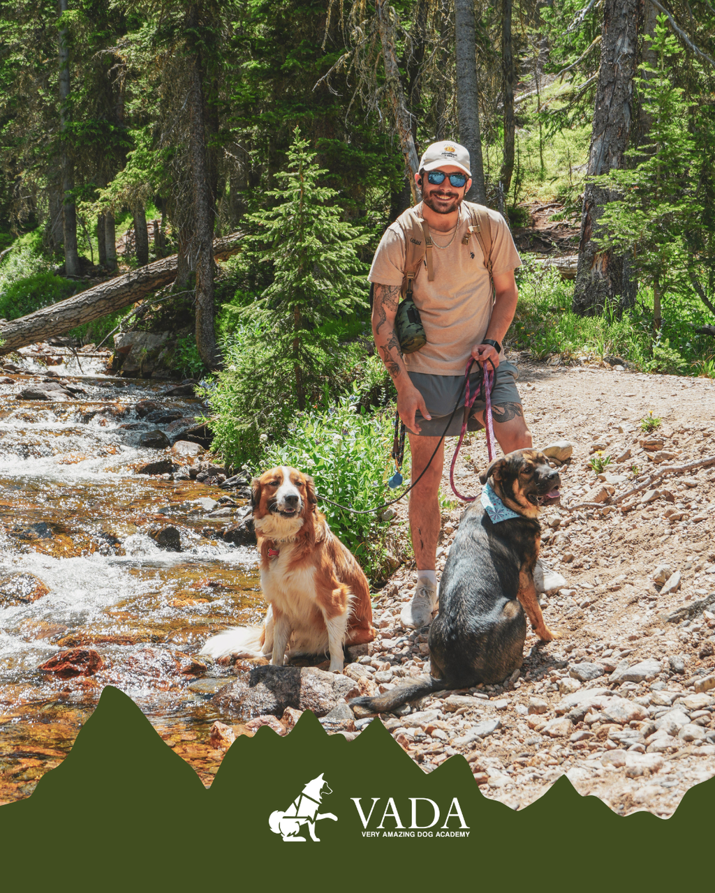 Colorado Dog Hiking Adventure: A Hands-On Training Hike