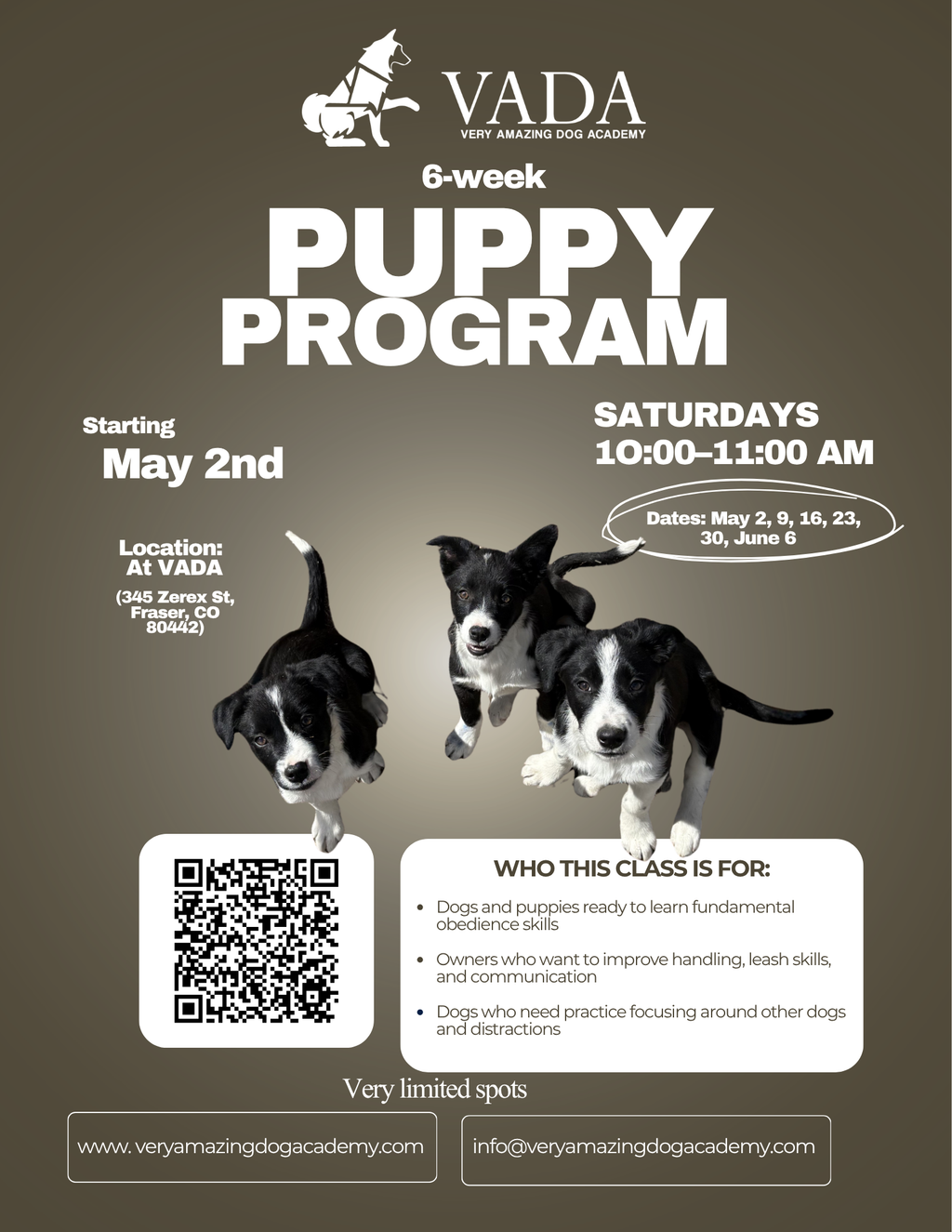 S.T.A.R. PUPPY PROGRAM