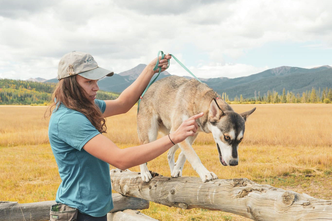 Free consultation call