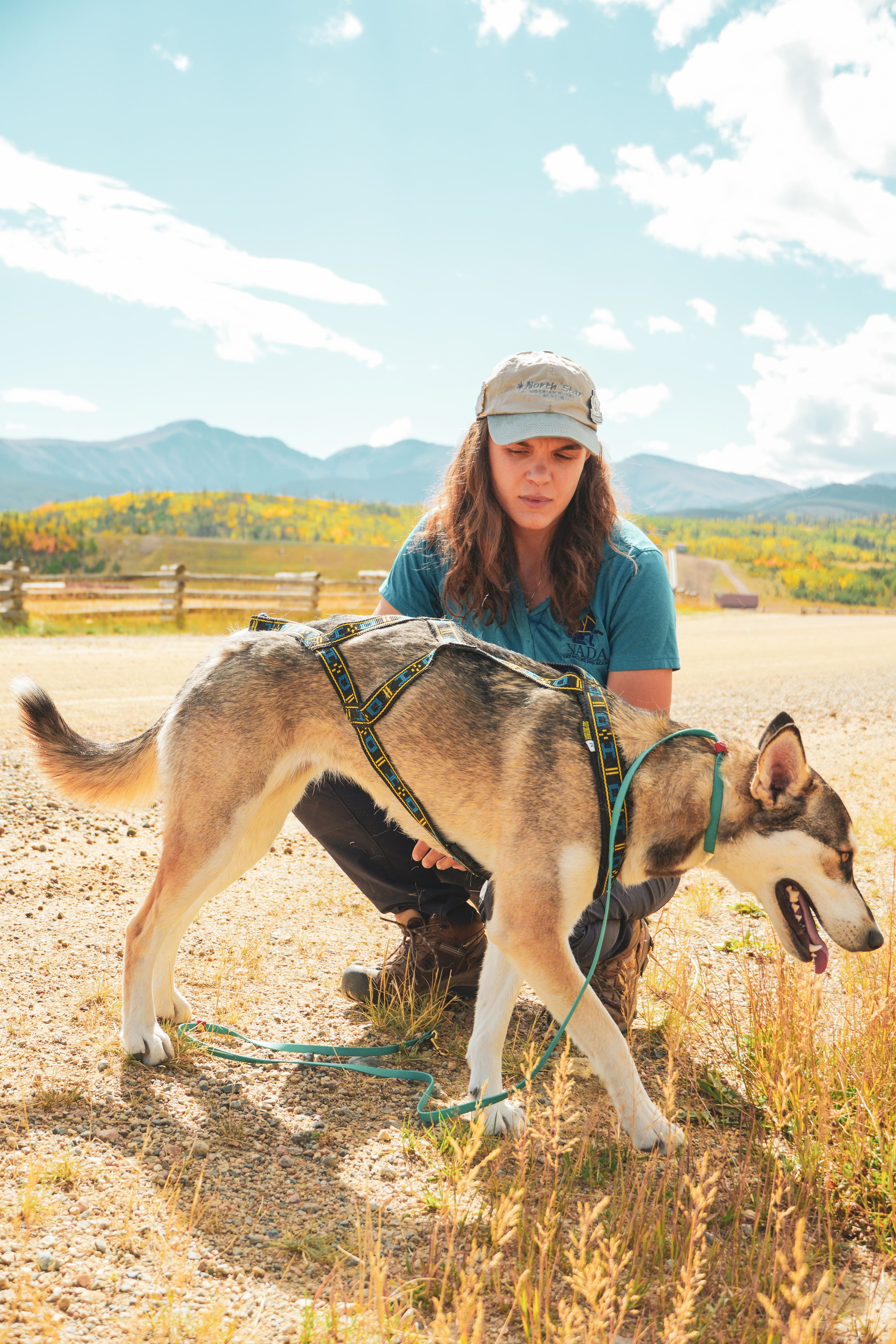 Mushing/ Dog Powered Sports