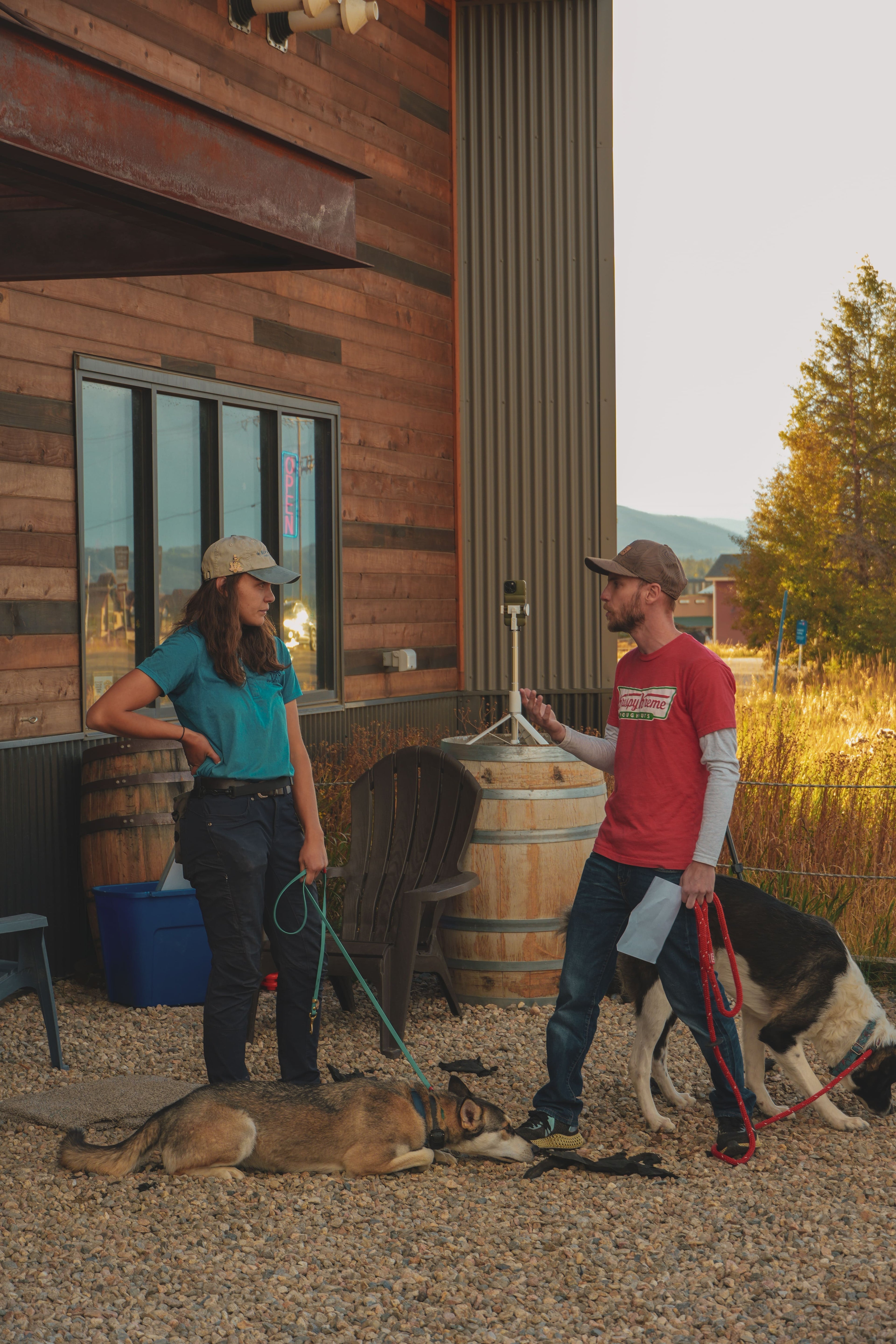 10 WEEK - dog training