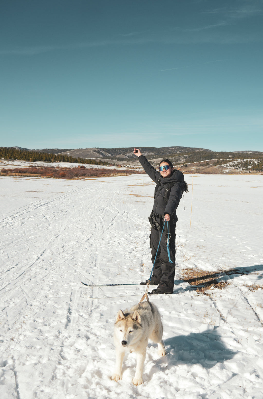 Private Skijoring Session
