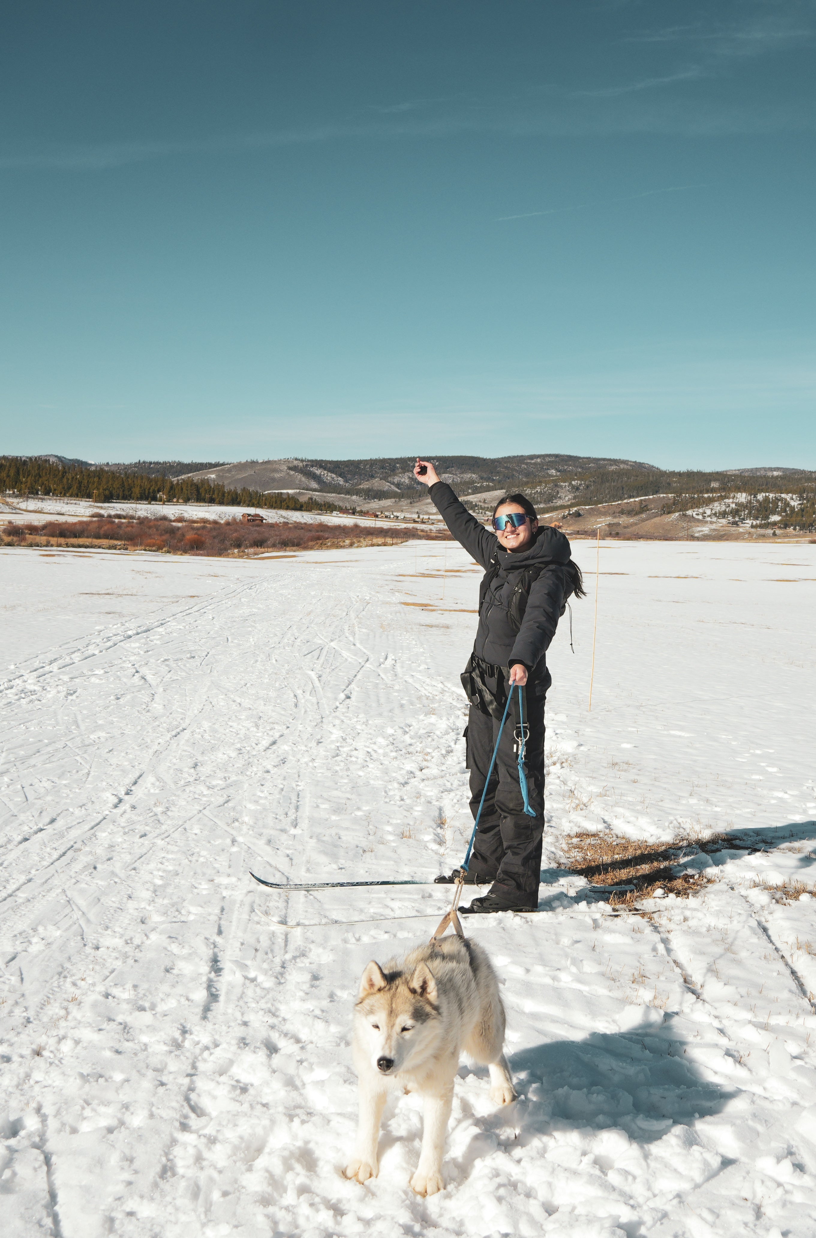Private Skijoring Session