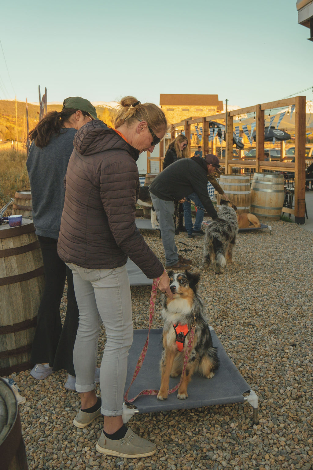 7 weeks- dog training