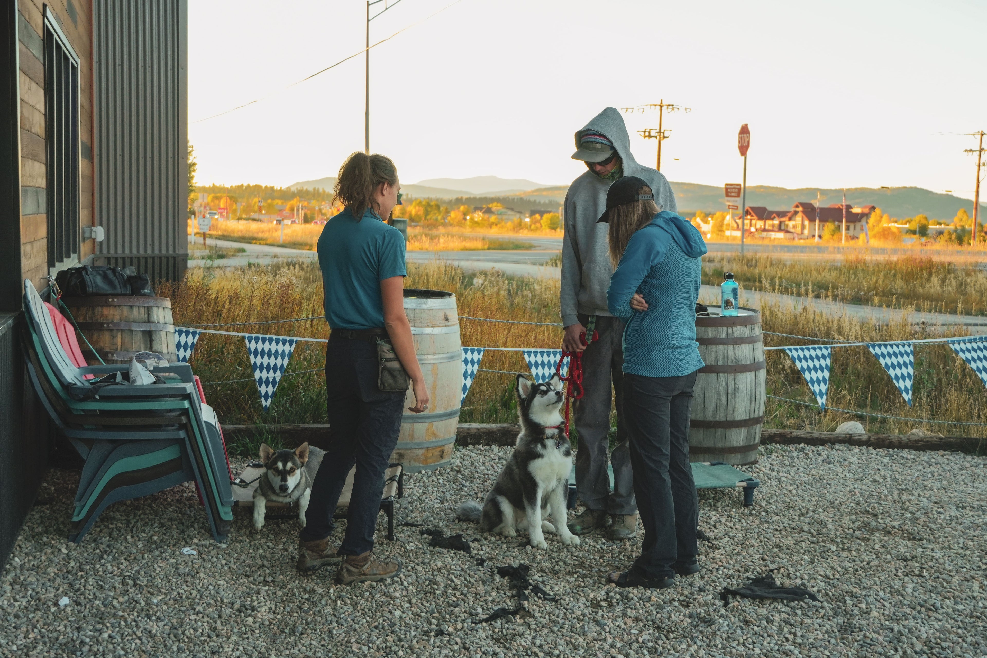 Free consultation call