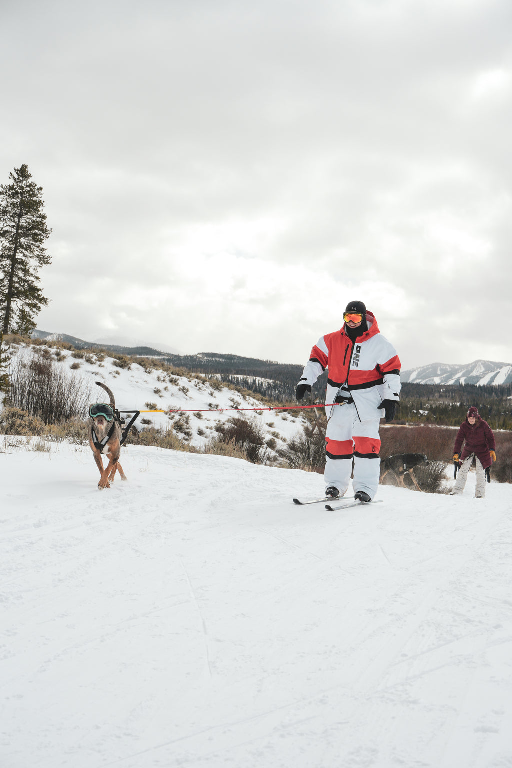 Private Skijoring Session