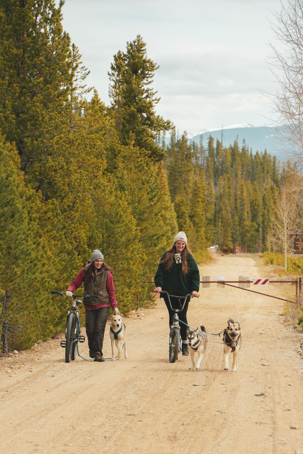 Bikejoring