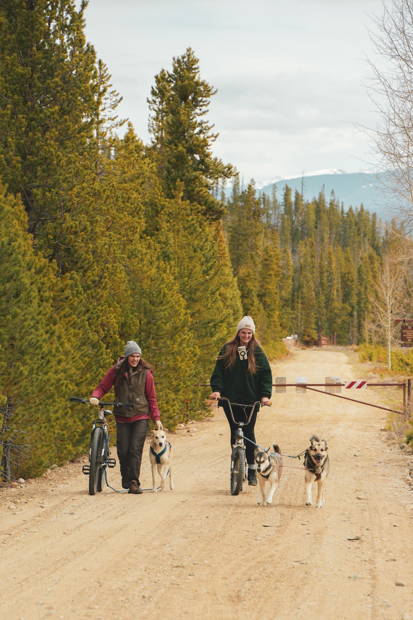 Bikejoring