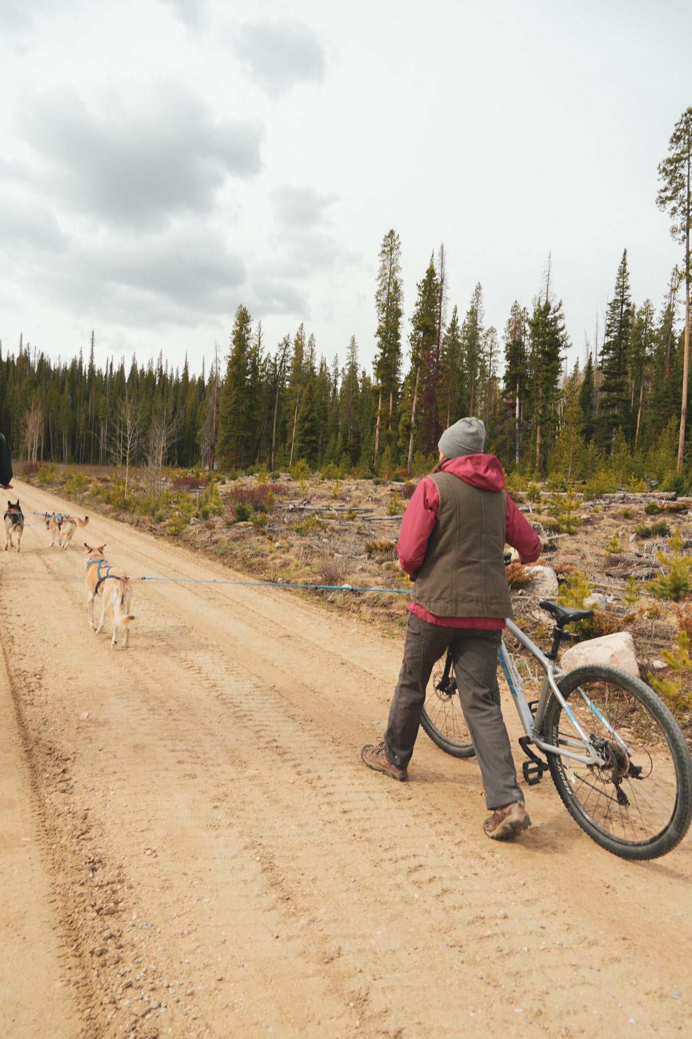 Bikejoring