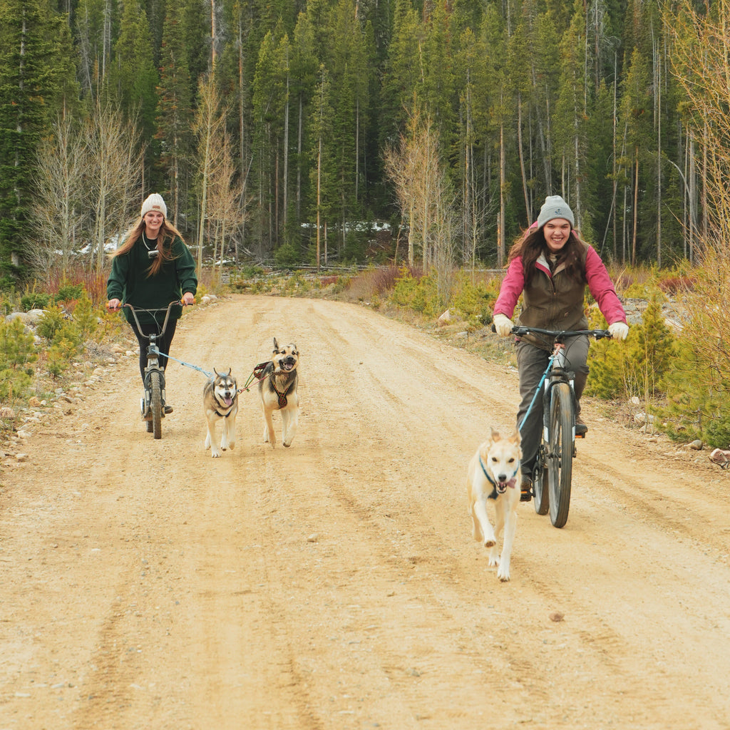 Bikejoring