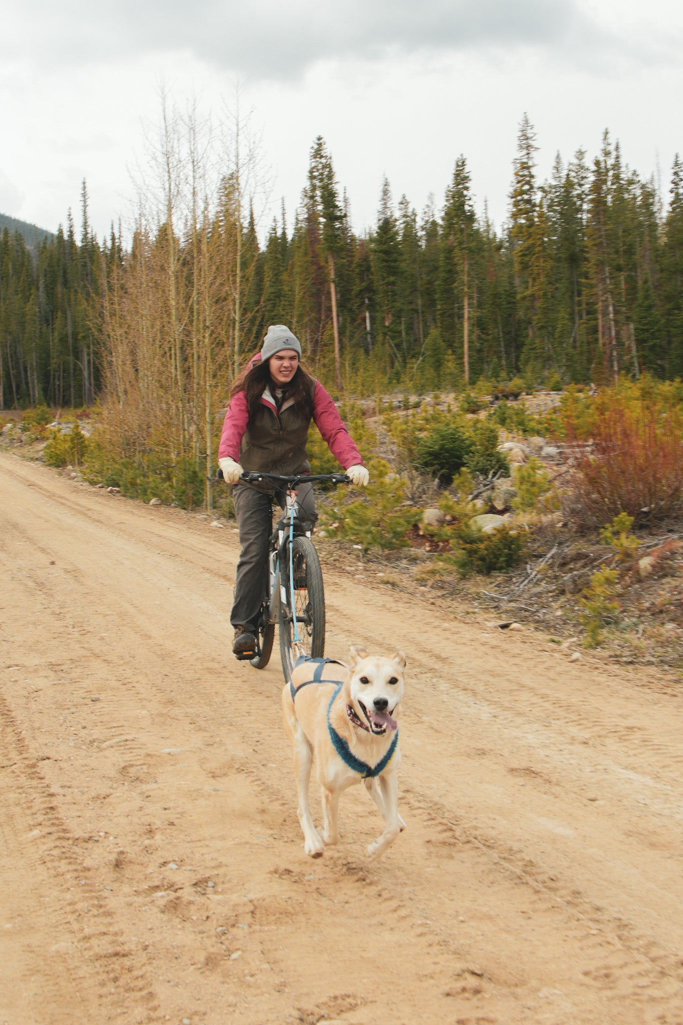 Bikejoring