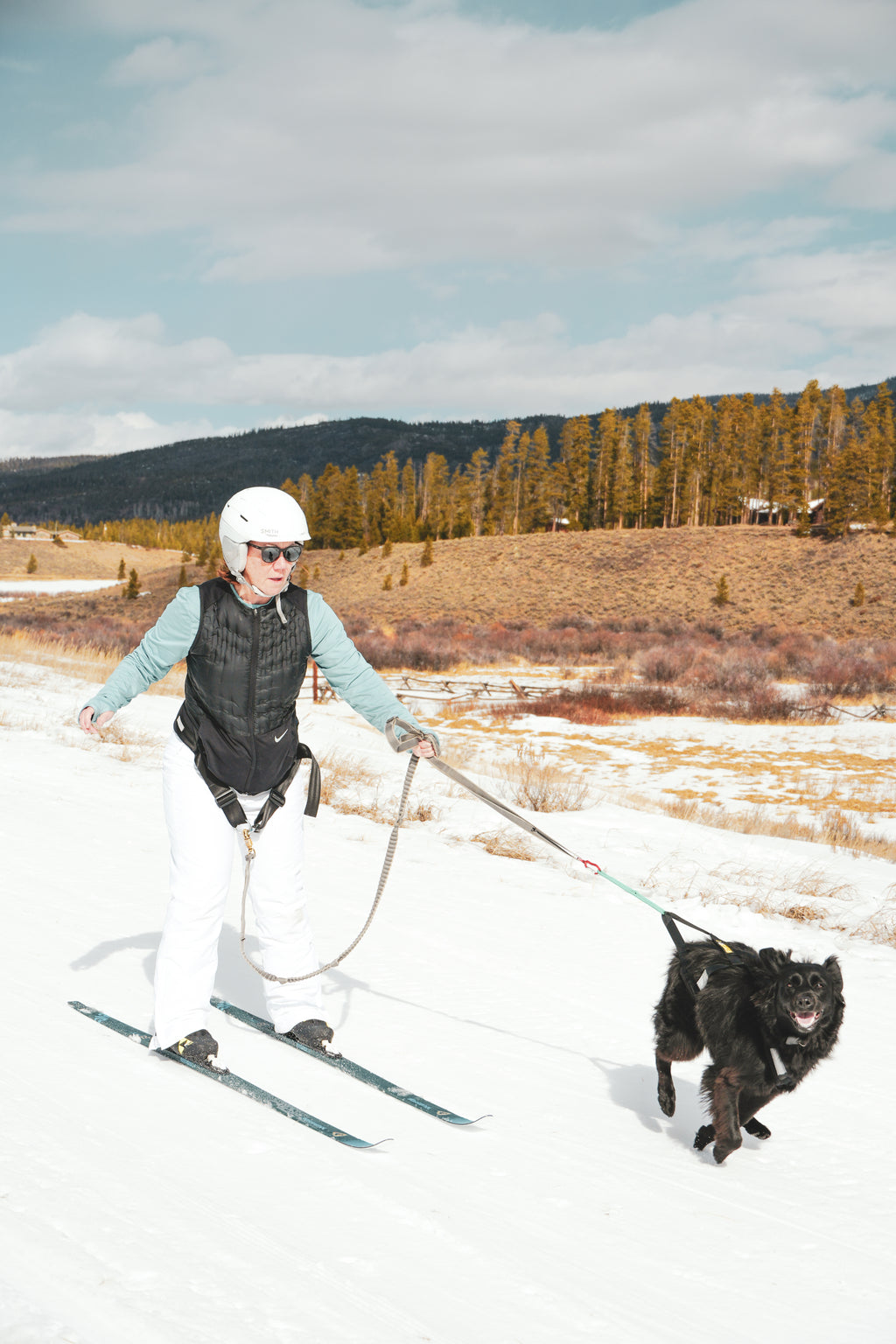 Private Skijoring Session