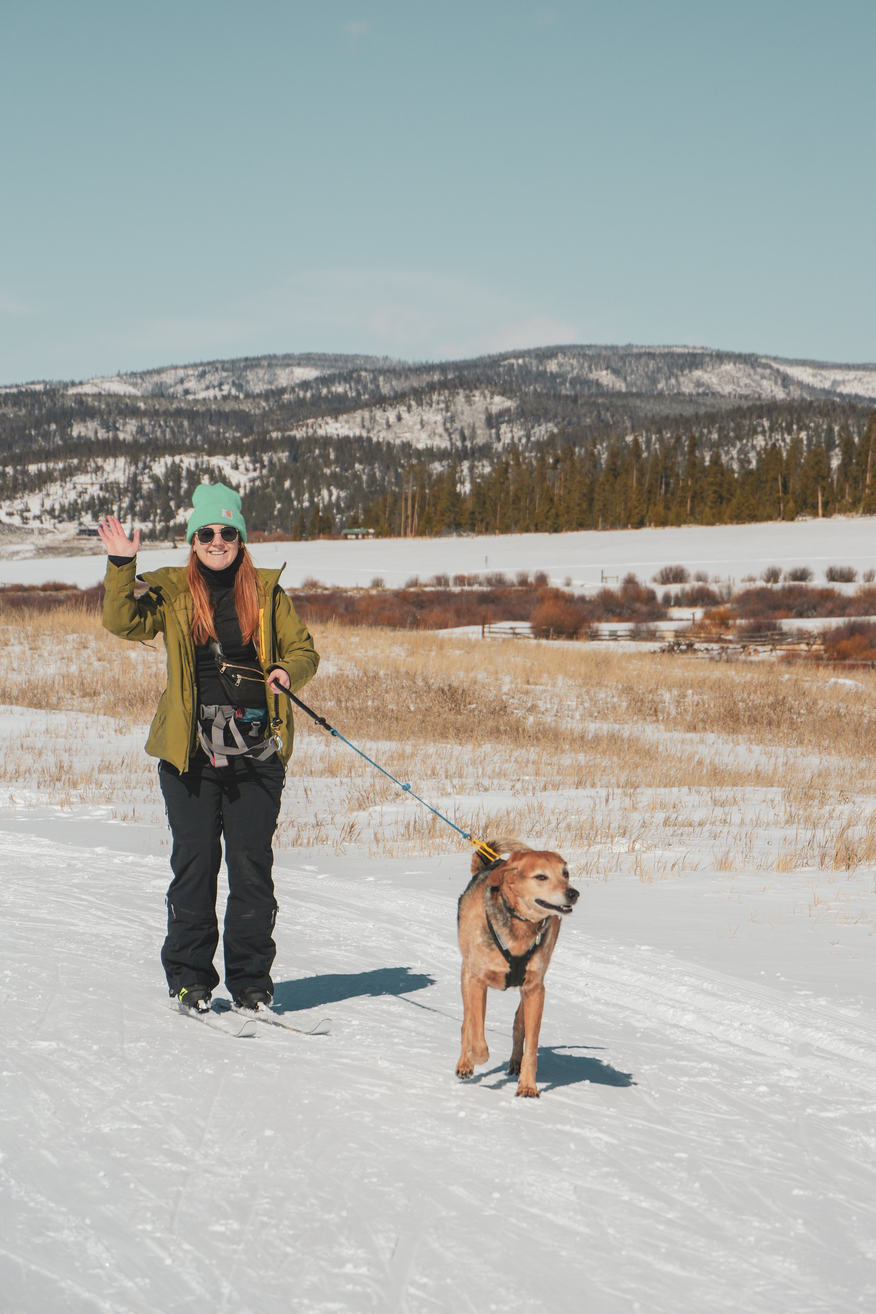 Private Skijoring Session