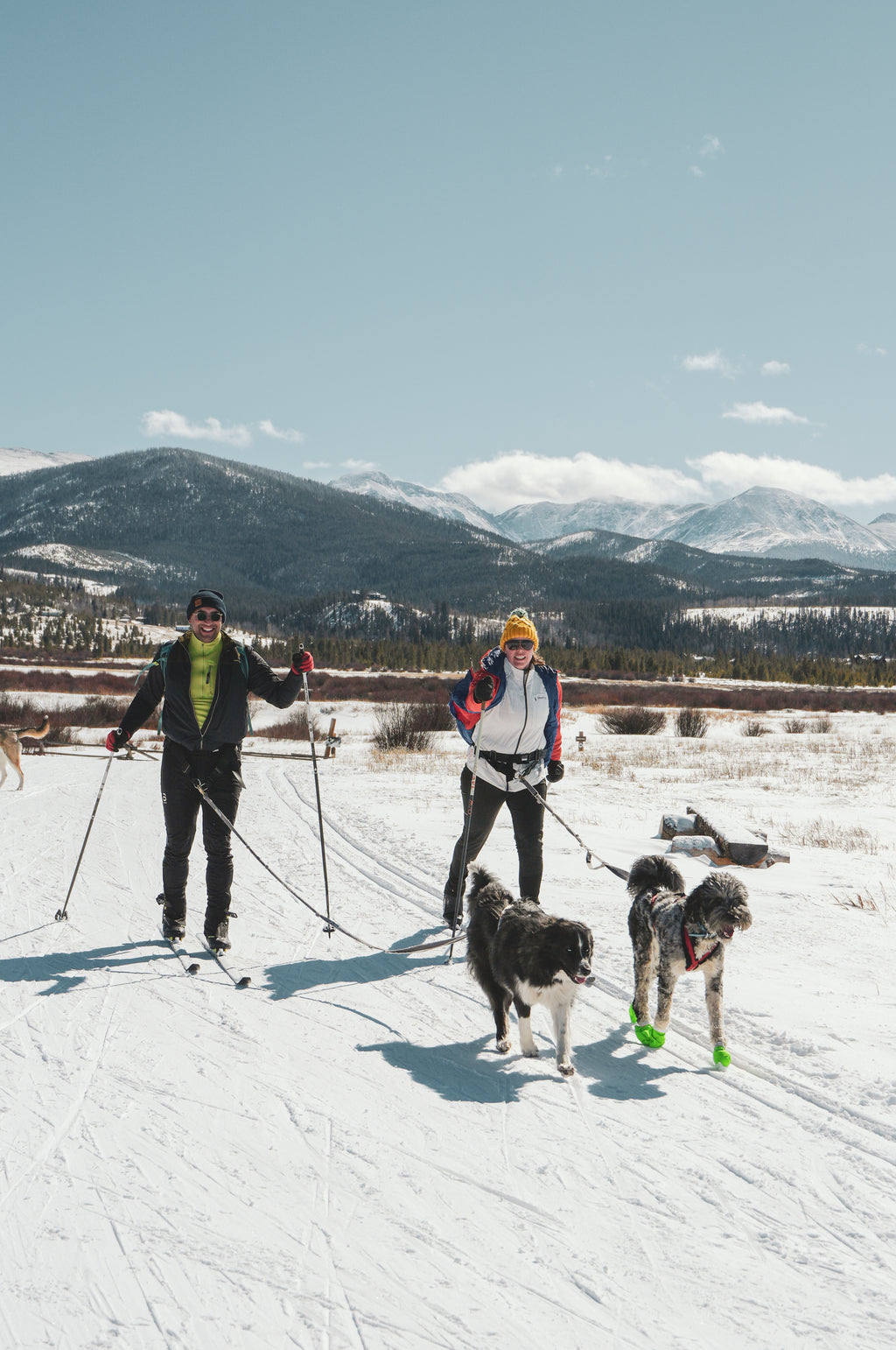 Private Skijoring Session