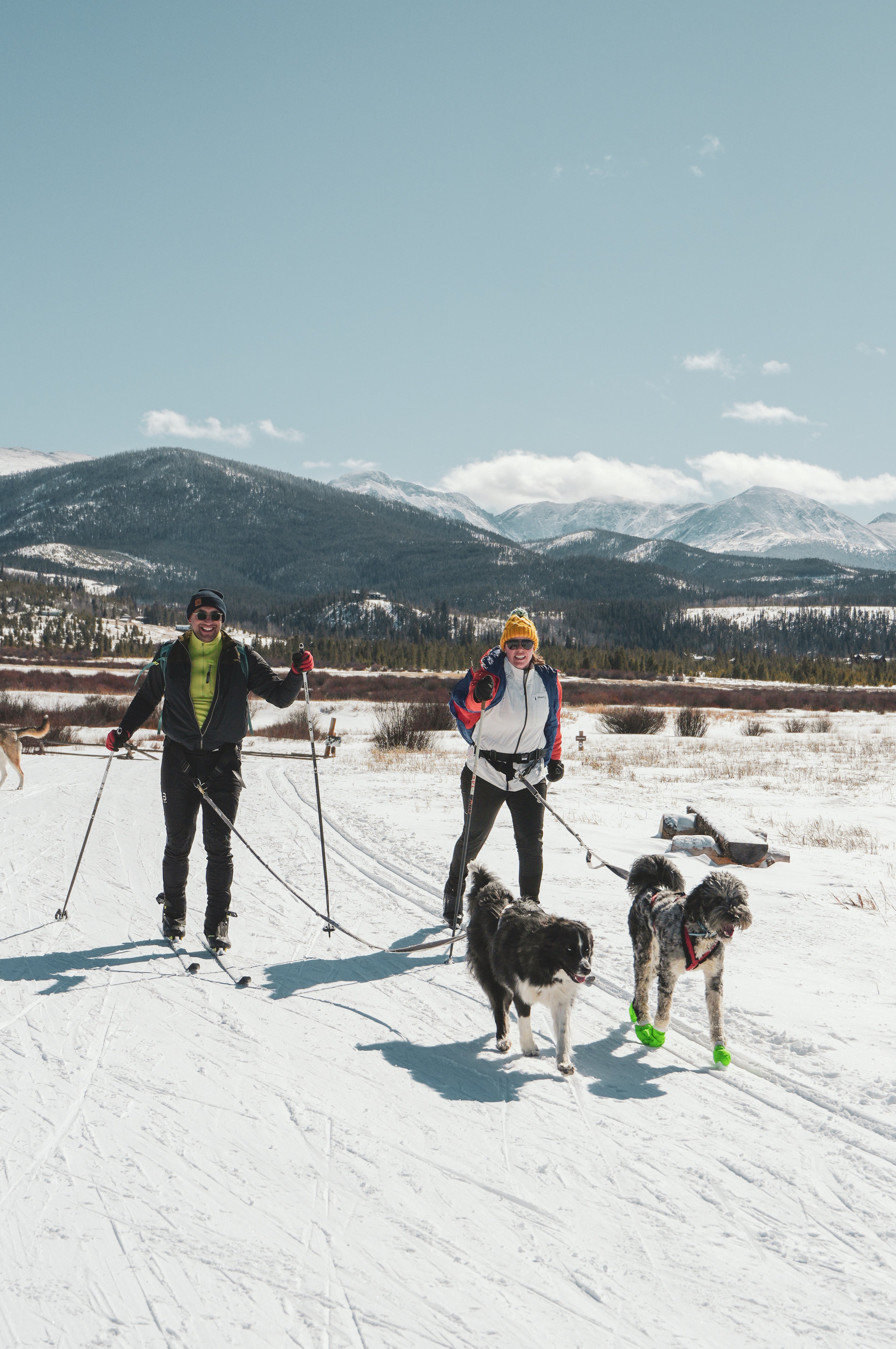 Private Skijoring Session