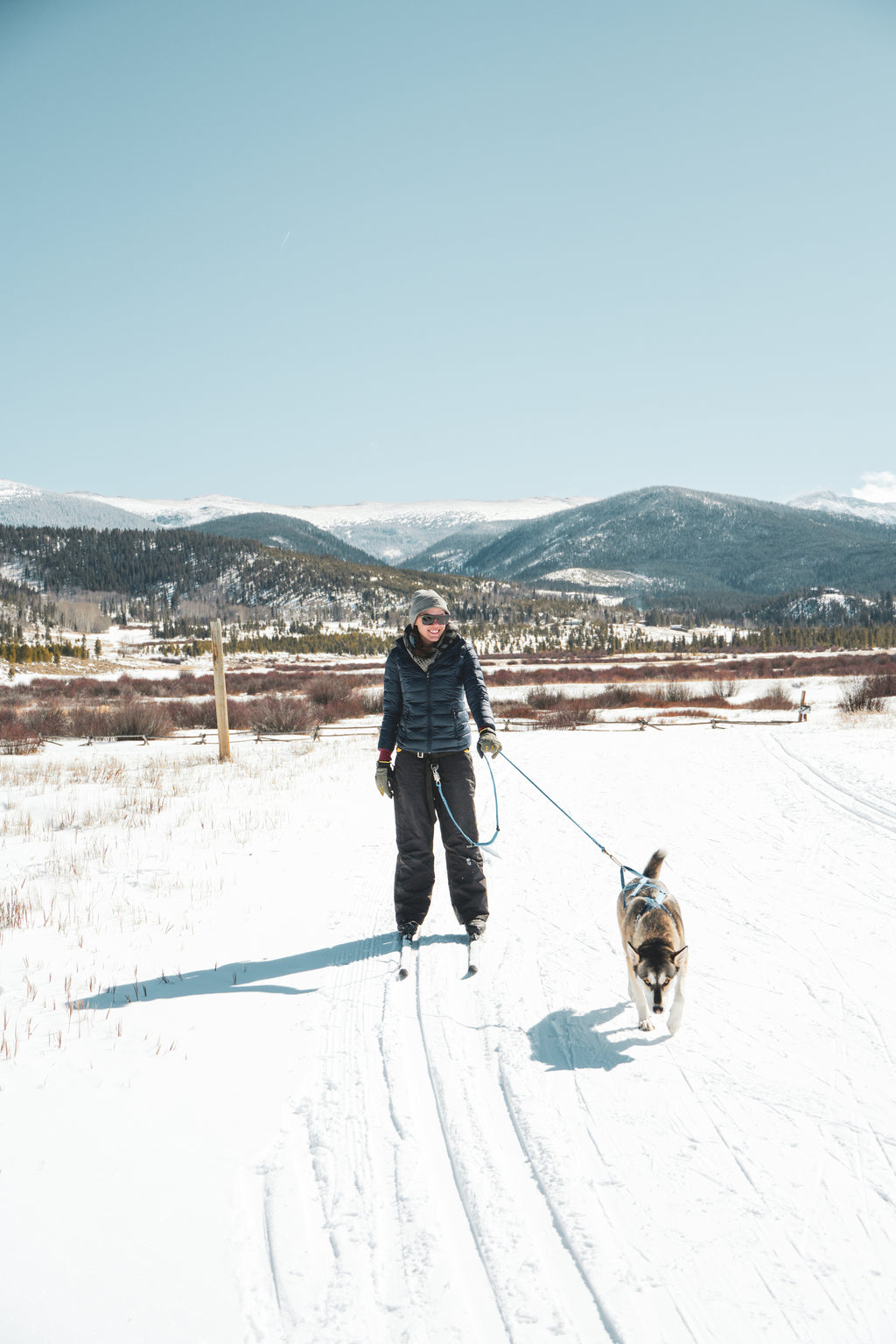 Private Skijoring Session