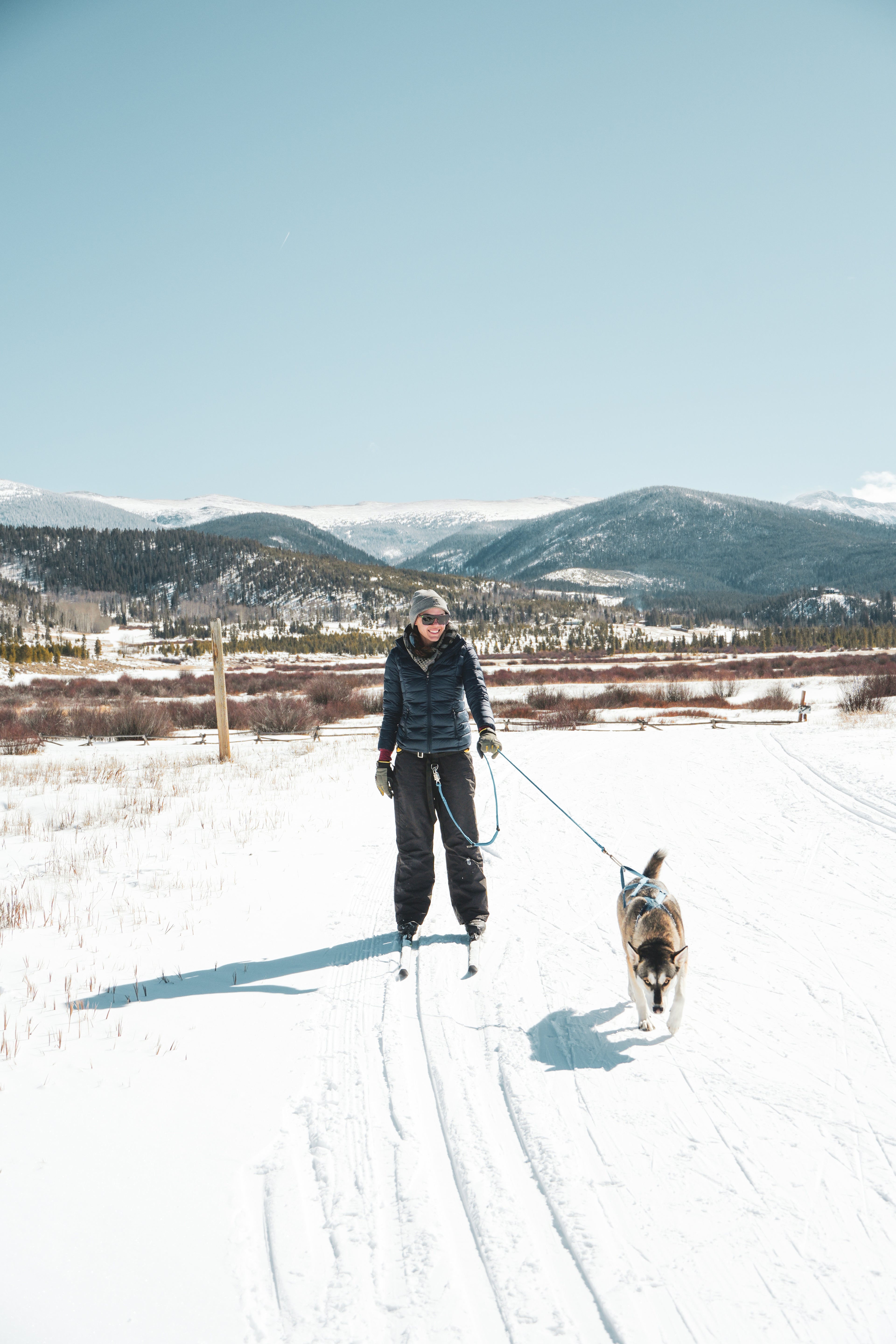 Private Skijoring Session