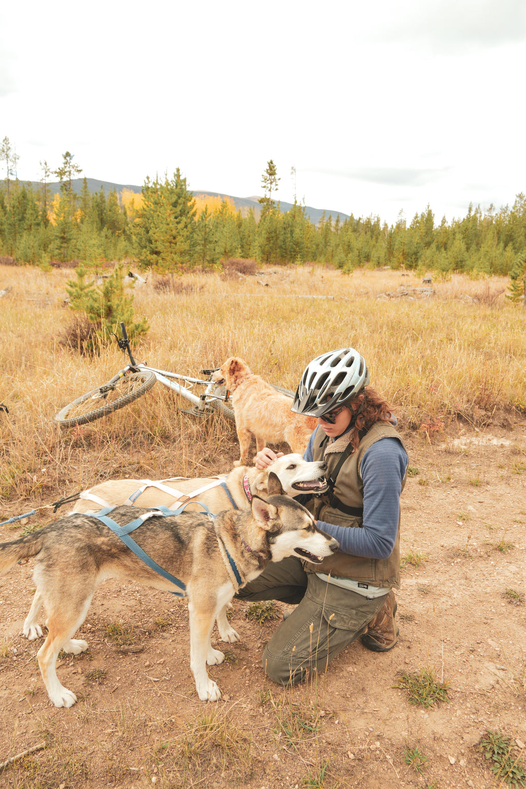 Bikejoring Group Class
