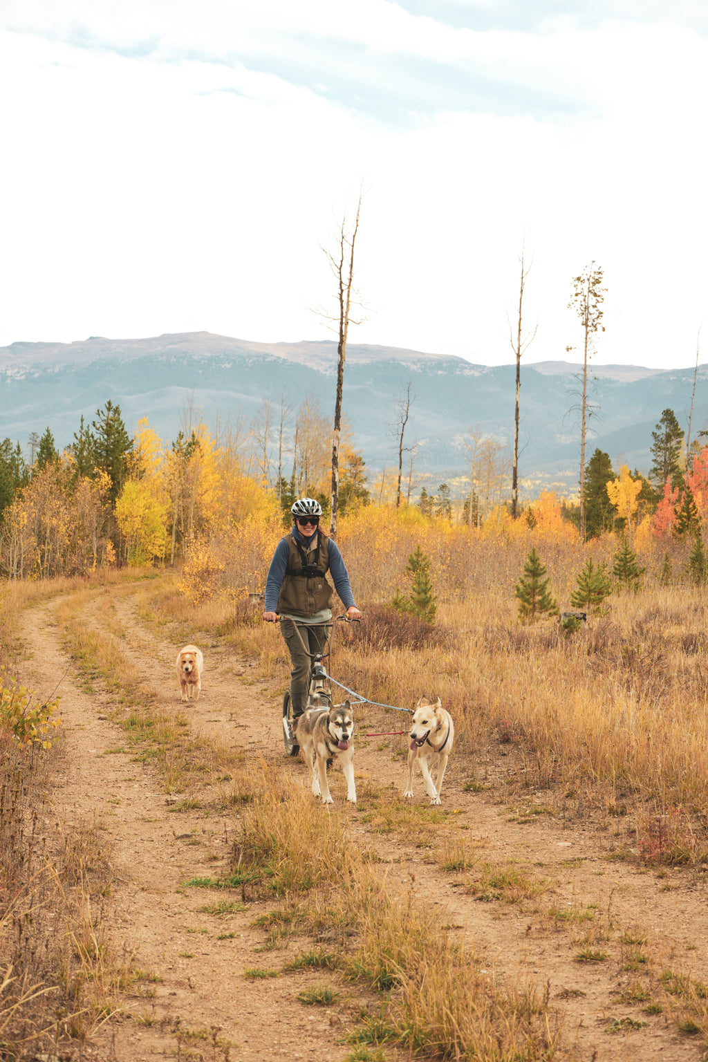 Bikejoring Group Class