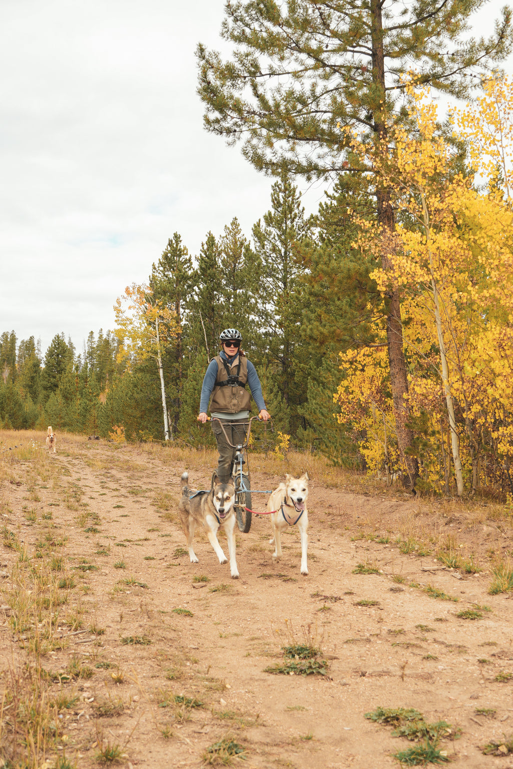 Bikejoring Group Class