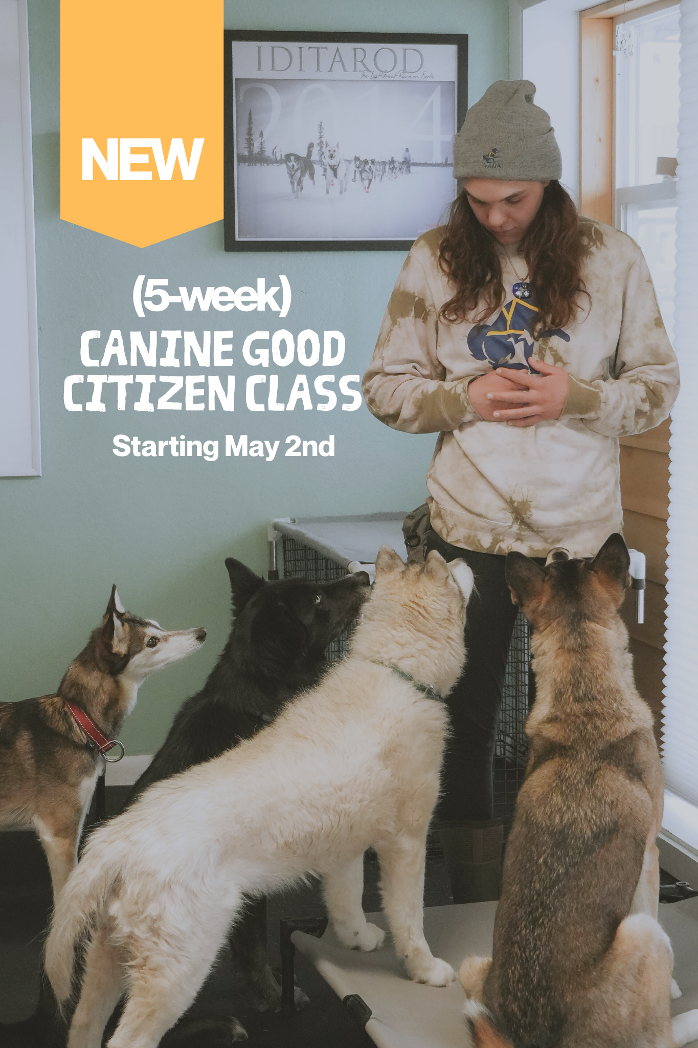 Canine Good Citizen Class