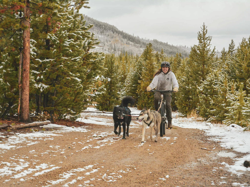 Mushing/ Dog Powered Sports