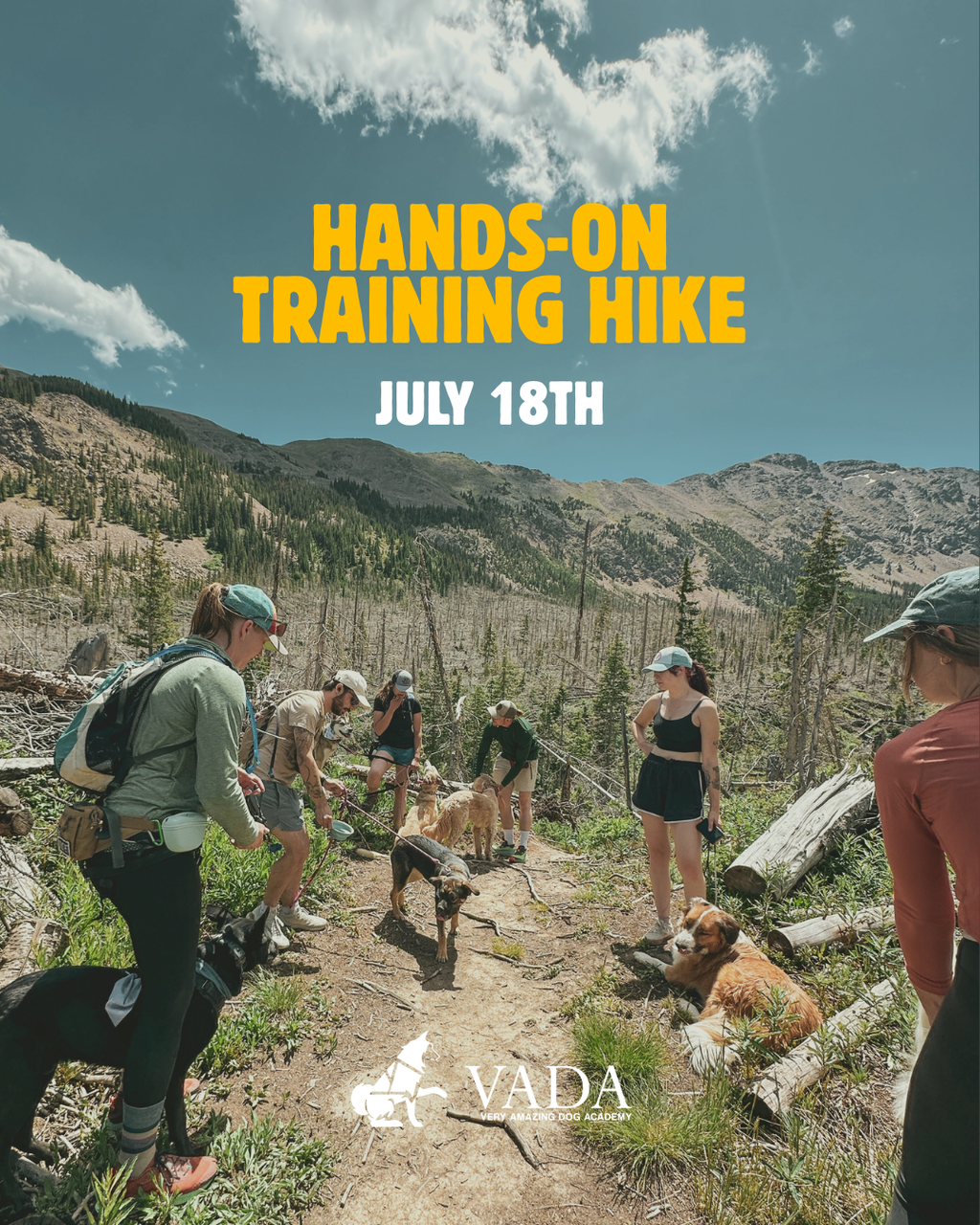 Colorado Dog Hiking Adventure: A Hands-On Training Hike