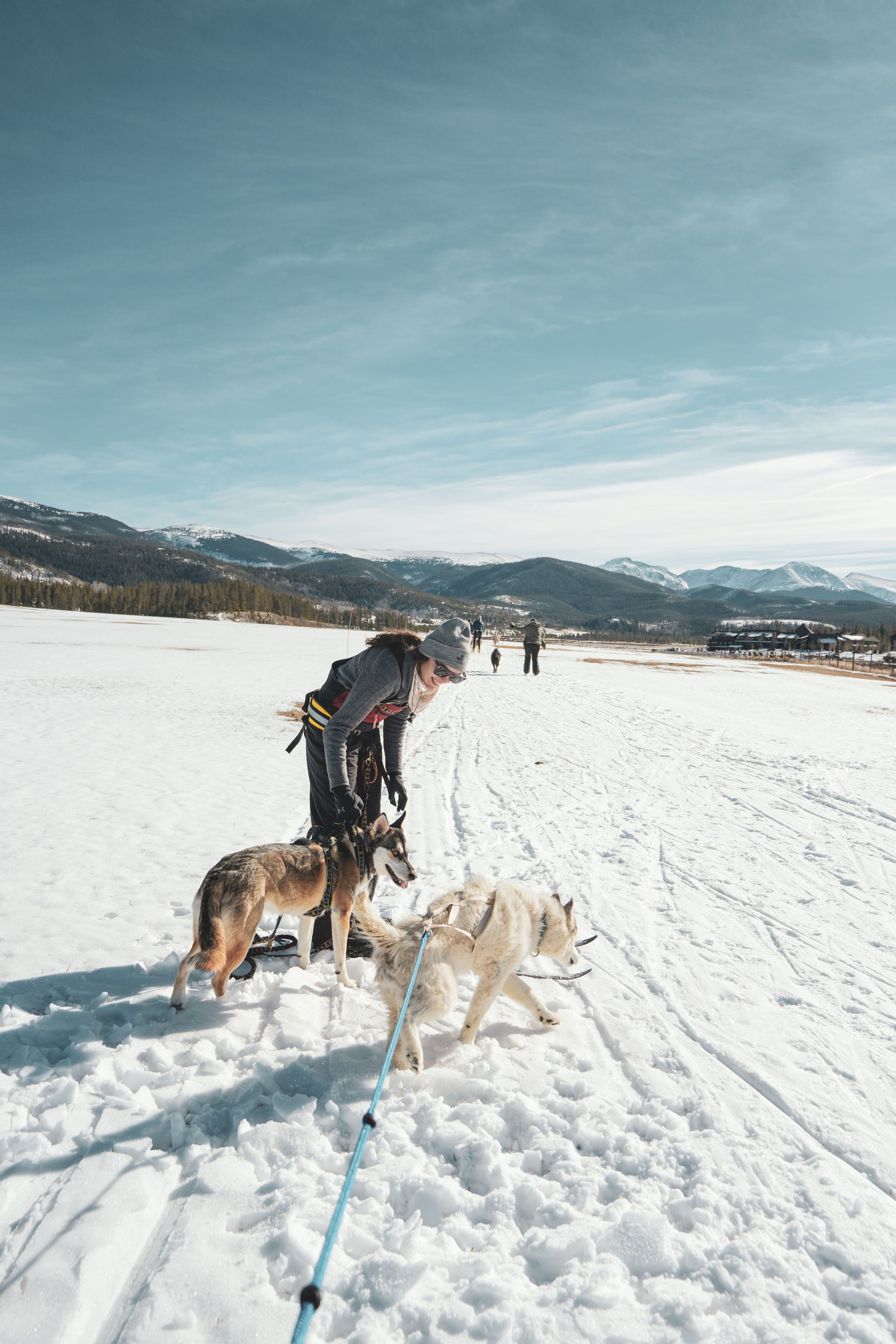 Skijoring Dog Powered Sports / Mushing