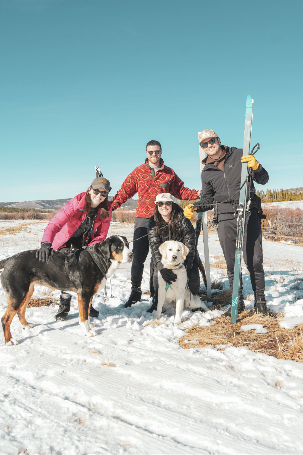 Skijoring Dog Powered Sports / Mushing