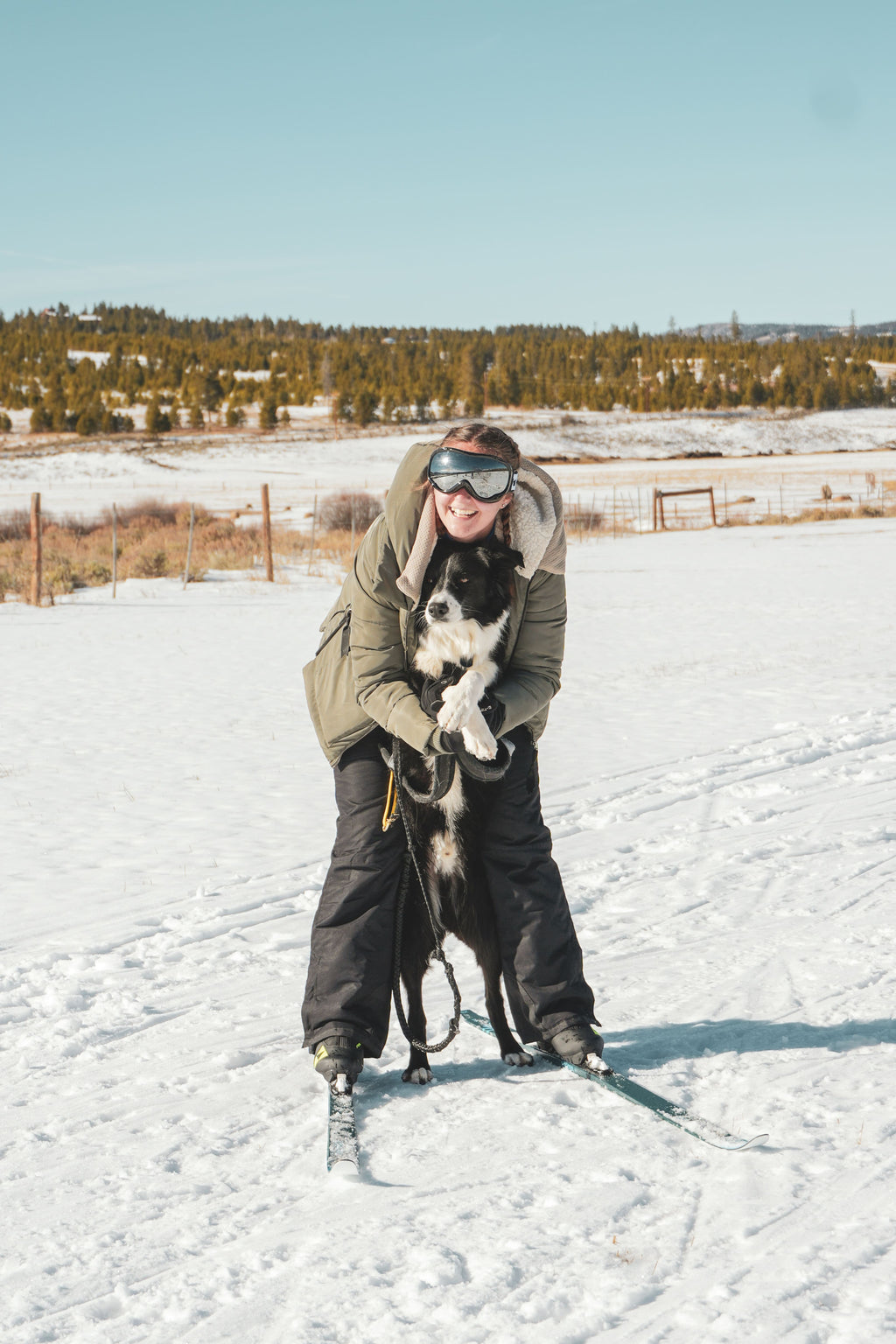 Skijoring Dog Powered Sports / Mushing